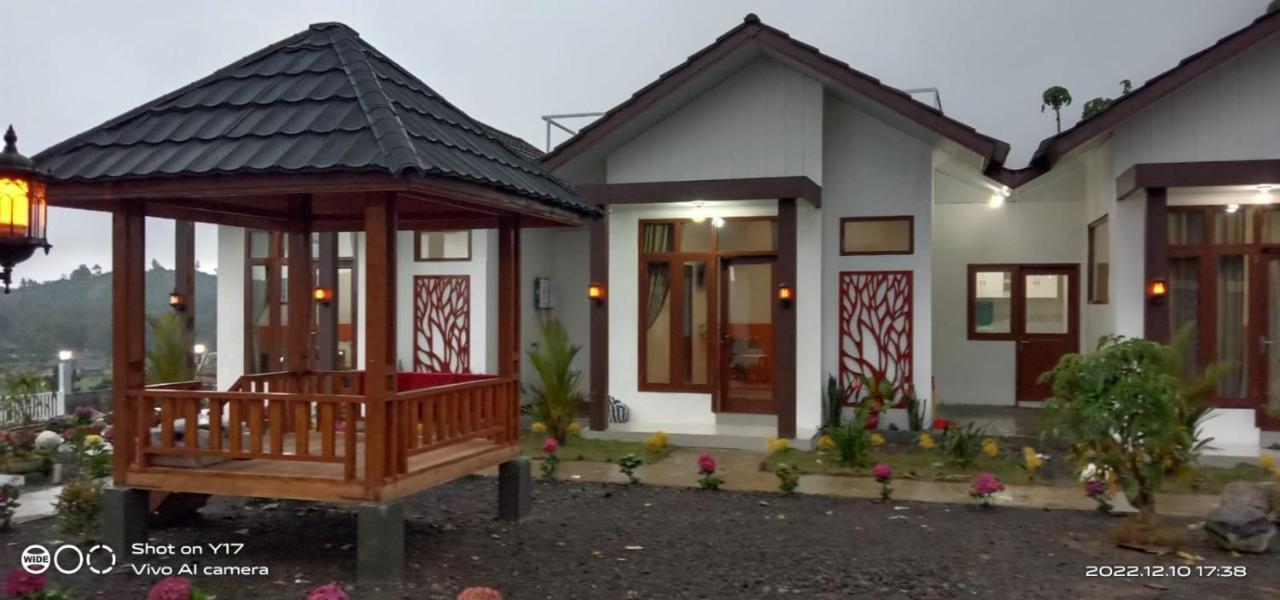 Madinna Dieng * Diyeng