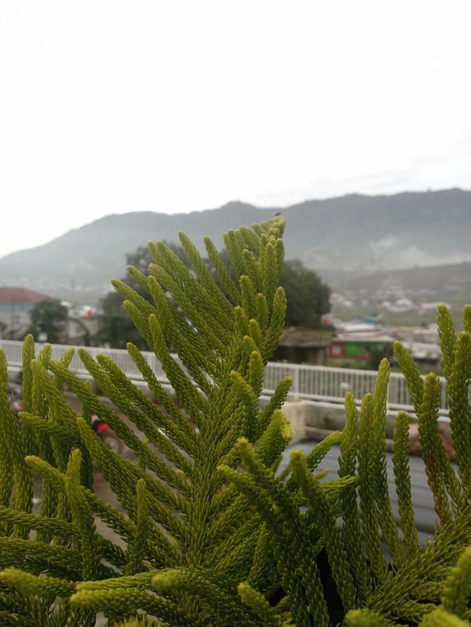 Madinna Dieng Diyeng