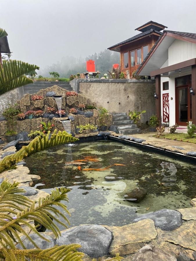 Madinna Dieng Wisma tamu