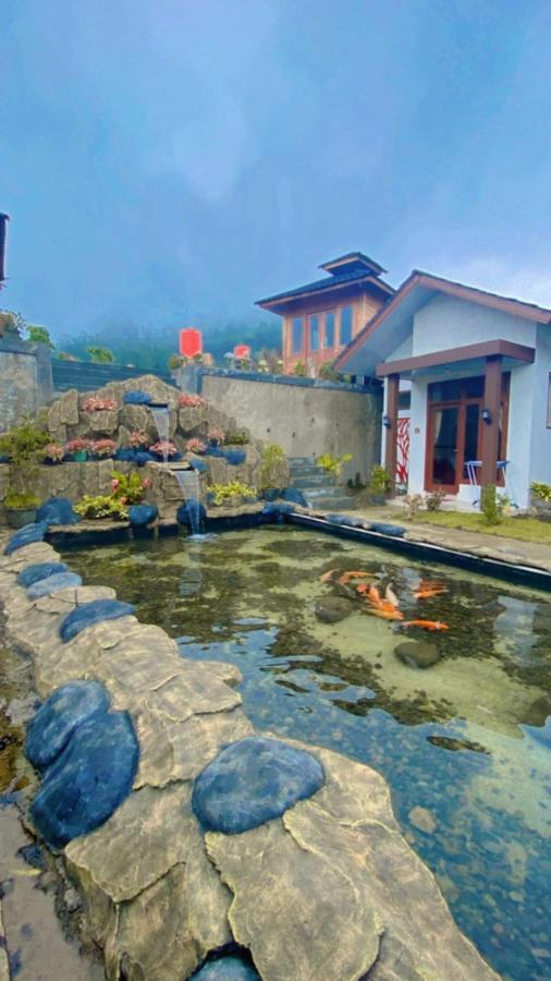 Madinna Dieng Wisma tamu